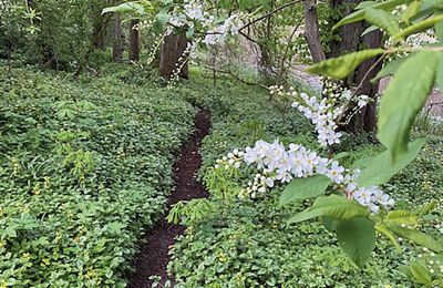 Borg til salg Mecklenburg-Vorpommern, Billede 58/96