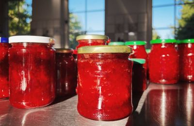 Borg til salg Mecklenburg-Vorpommern, Billede 63/96