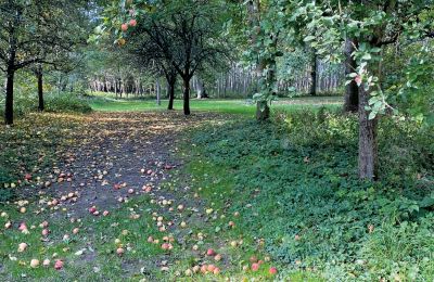 Borg til salg Mecklenburg-Vorpommern, Billede 69/96