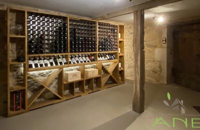 Vidiecky dom na predaj Mouzon, Nouvelle-Aquitaine, Vínna pivnica