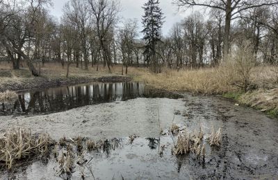 Kaštieľ na predaj Bolkowice, Dwór w Bolkowicach, województwo zachodniopomorskie, Zámocký park