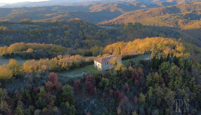  Città di Castello 5