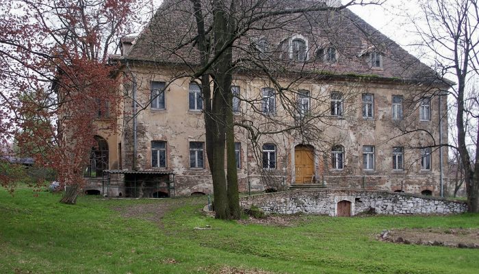  Kostrzyna 3