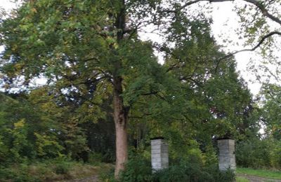 Zámok na predaj Kostrzyna, Kostrzyna 38, województwo dolnośląskie, Obrázok 12/19