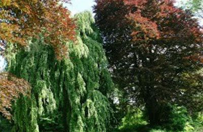 Zámok na predaj Kostrzyna, Kostrzyna 38, województwo dolnośląskie, Obrázok 16/19