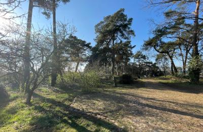 Vidiecky dom na predaj 17375 Leopoldshagen, Mecklenburg-Vorpommern, Blick in die Einfahrt