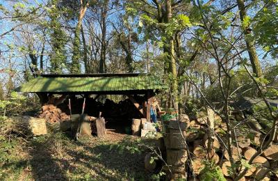 Vidiecky dom na predaj 17375 Leopoldshagen, Mecklenburg-Vorpommern, Brennholzlager