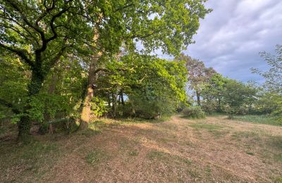 Vidiecky dom na predaj 17375 Leopoldshagen, Mecklenburg-Vorpommern, Gartenblick