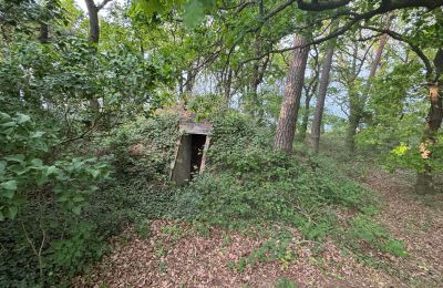 Vidiecky dom na predaj 17375 Leopoldshagen, Mecklenburg-Vorpommern, Erdbunker