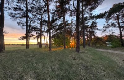 Vidiecky dom na predaj 17375 Leopoldshagen, Mecklenburg-Vorpommern, Sonnenuntergang Richtung Dorf