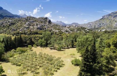 Kaštieľ na predaj Escorca, Baleárijské ostrovy, finca-escorca-40