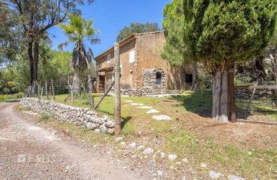 Kaštieľ na predaj Escorca, Baleárijské ostrovy, finca-escorca-29