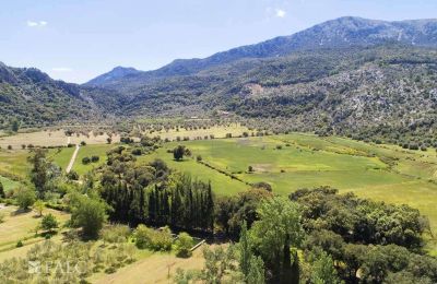 Kaštieľ na predaj Escorca, Baleárijské ostrovy, finca-escorca-39