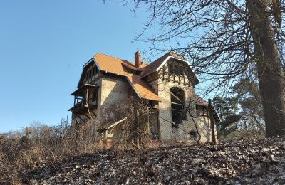 Historická vila na predaj Słubice, Lubusko, Obrázok 3/15