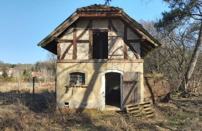 Historická vila na predaj Słubice, Lubusko, Obrázok 5/15
