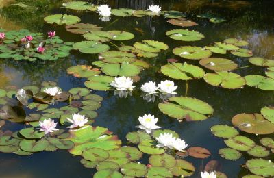 Lantgård till salu Tyskland, Bild 12/32