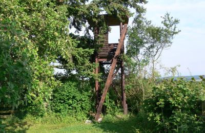 Lantgård till salu Tyskland, Bild 15/32