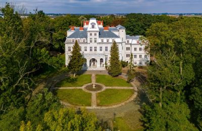 Zámok na predaj Malina, Pałac Malina, Lodžsko, Obrázok 2/28