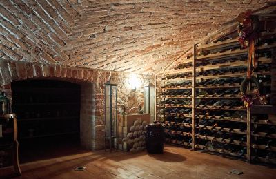 Herrgård till salu Stary Dzierzgoń, województwo pomorskie, Bild 14/39