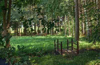 Herrgård till salu Stary Dzierzgoń, województwo pomorskie, Bild 34/39