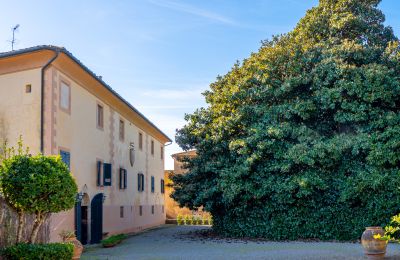 Historisk villa till salu Crespina, Toscana, Bild 33/38