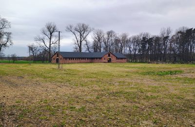 Kaštieľ na predaj Raszków, województwo świętokrzyskie, Obrázok 5/16