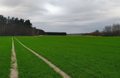 Kaštieľ na predaj Raszków, województwo świętokrzyskie, Obrázok 7/16