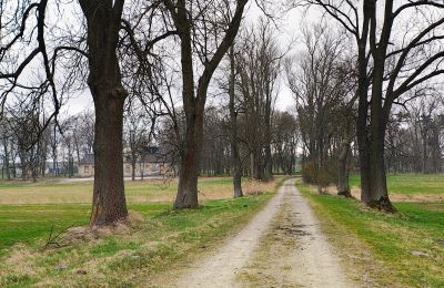 Kaštieľ na predaj Raszków, województwo świętokrzyskie, Obrázok 15/16