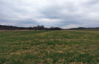 Kaštieľ na predaj Raszków, województwo świętokrzyskie, Obrázok 16/16