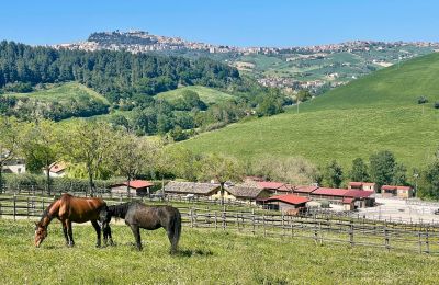 Vidiecky dom na predaj Fermo, Marche, Obrázok 76/81
