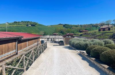 Vidiecky dom na predaj Fermo, Marche, Obrázok 79/81