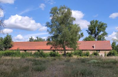 Kaštieľ na predaj województwo lubuskie, Obrázok 6/16