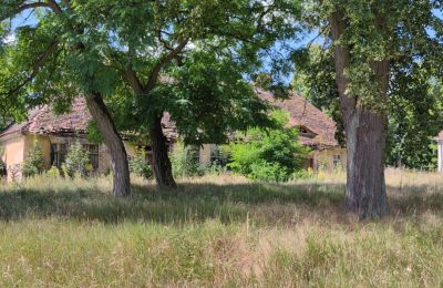 Kaštieľ na predaj województwo lubuskie, Obrázok 7/16