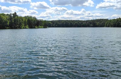 Kaštieľ na predaj województwo lubuskie, Obrázok 13/16