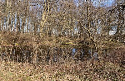 Kaštieľ na predaj Kępica, Kępica 20 A, województwo zachodniopomorskie, Obrázok 12/13