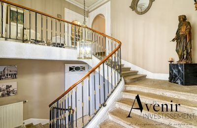 Historická vila na predaj Vaugneray, Auvergne-Rhône-Alpes, Obrázok 4/12