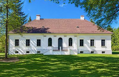 Kaštieľ na predaj Tömörd, Fő utca 11, Župa Vas, Pohľad z prednej strany