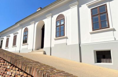 Kaštieľ na predaj Tömörd, Fő utca 11, Župa Vas, Vchod