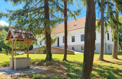 Kaštieľ na predaj Tömörd, Fő utca 11, Župa Vas, Obrázok 5/21