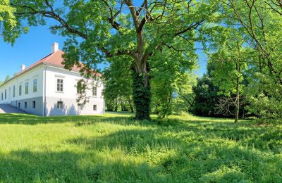 Kaštieľ na predaj Tömörd, Fő utca 11, Župa Vas, Zámocký park