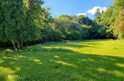 Kaštieľ na predaj Tömörd, Fő utca 11, Župa Vas, Zámocký park