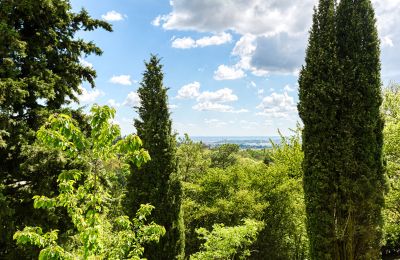 Kaštieľ na predaj Limonest, Auvergne-Rhône-Alpes, Obrázok 6/10