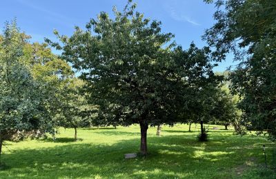 Kaštieľ na predaj Brandenburg, Obstbaumgarten