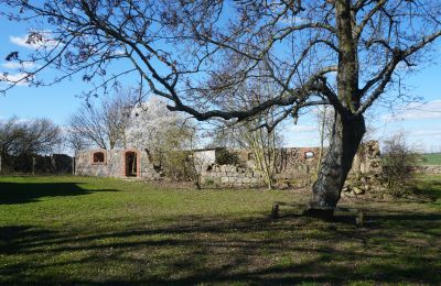 Kaštieľ na predaj Brandenburg, Runine - ehem. Verwalterhaus