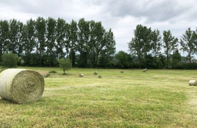 Kaštieľ na predaj Brandenburg, Koppel