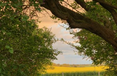Kaštieľ na predaj Brandenburg, Blick auf Koppel - Weitblick