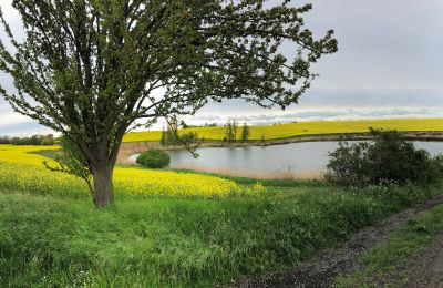 Kaštieľ na predaj Brandenburg, Badesee in der Umgebung