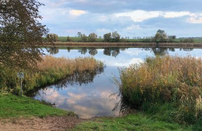 Kaštieľ na predaj Brandenburg, Badesee in der Umgebung