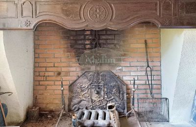 Historická vila na predaj Bagnères-de-Luchon, Occitanie, Obrázok 6/29