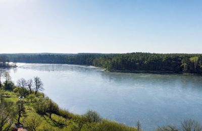 Kaštieľ na predaj 66-300 Bobowicko, Lubusko, Obrázok 6/14